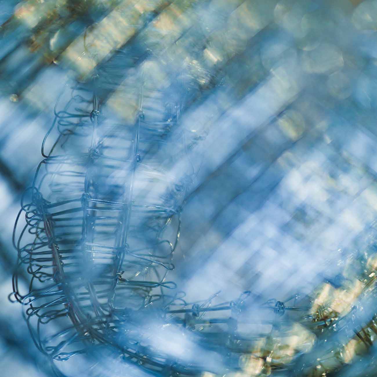 Sara Wallstedt, Emilia Elfvik